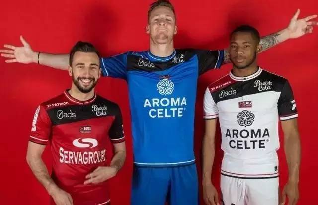 借此降低对 借此降低对